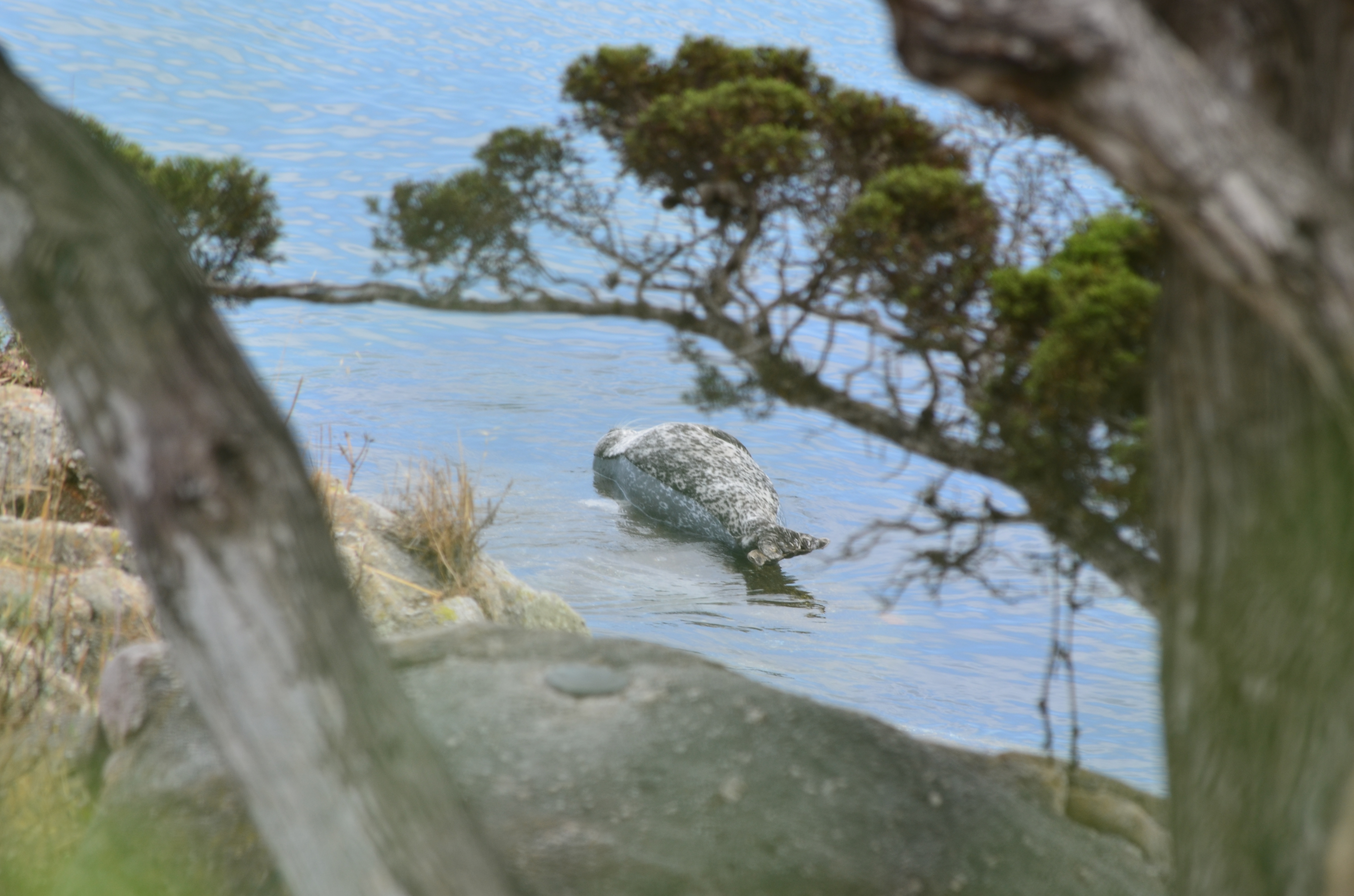 ./2018/09 - San Francisco/ASC_0877.JPG